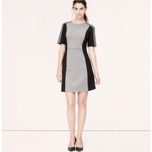 Color block black and gray dress - petite